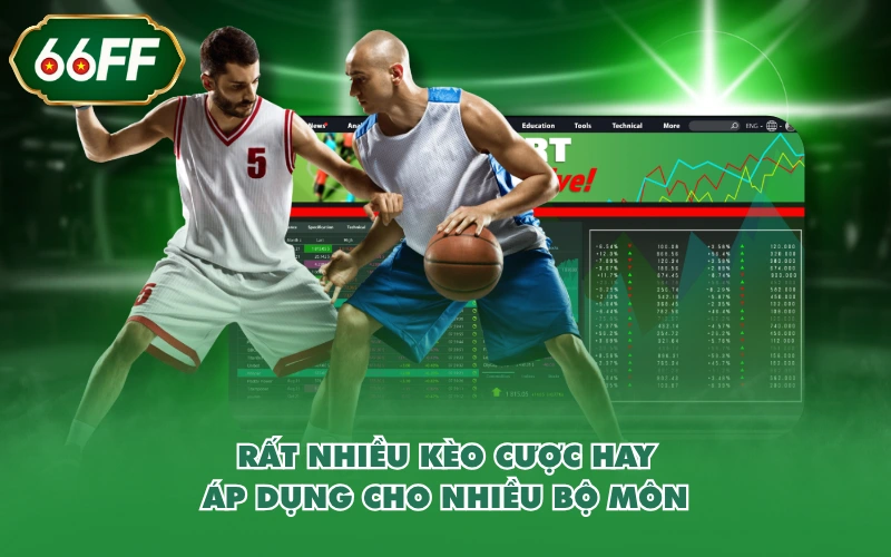 Thể thao 4 Rất nhiều kèo cược hay áp dụng cho nhiều bộ môn